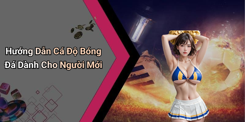 Hướng Dẫn Cá Độ Bóng Đá Dành Cho Người Mới