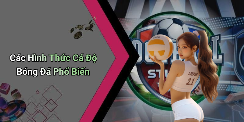 Các Hình Thức Cá Độ Bóng Đá Phổ Biến