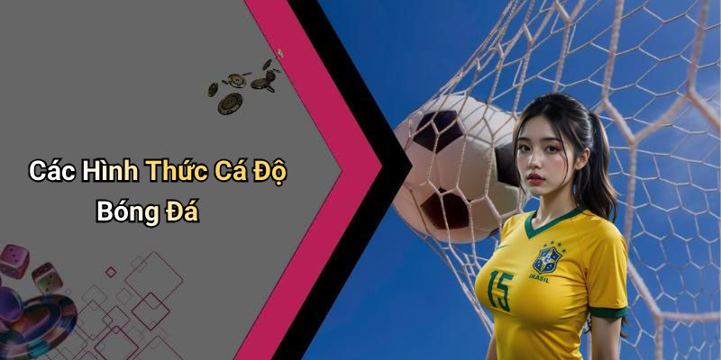 Các Hình Thức Cá Độ Bóng Đá