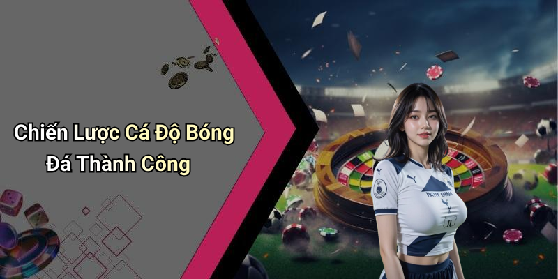 Chiến Lược Cá Độ Bóng Đá Thành Công