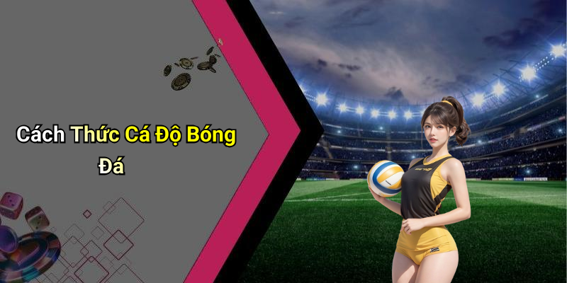 Cách Thức Cá Độ Bóng Đá