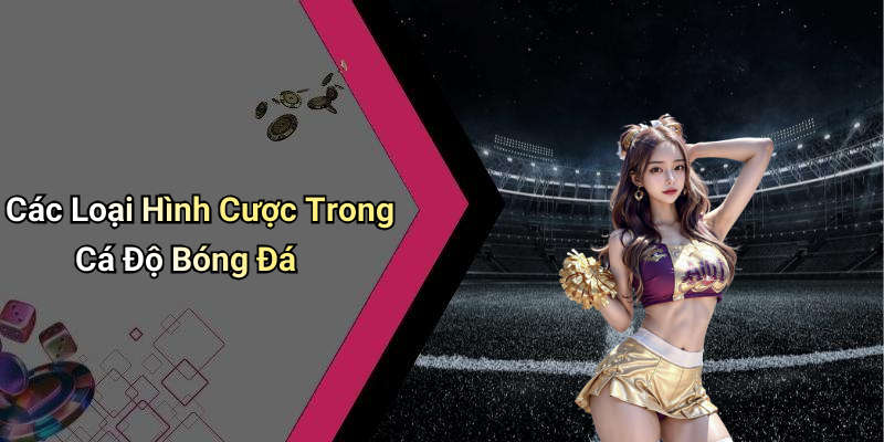 Các Loại Hình Cược Trong Cá Độ Bóng Đá