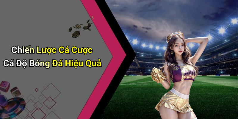 Chiến Lược Cá Cược Cá Độ Bóng Đá Hiệu Quả