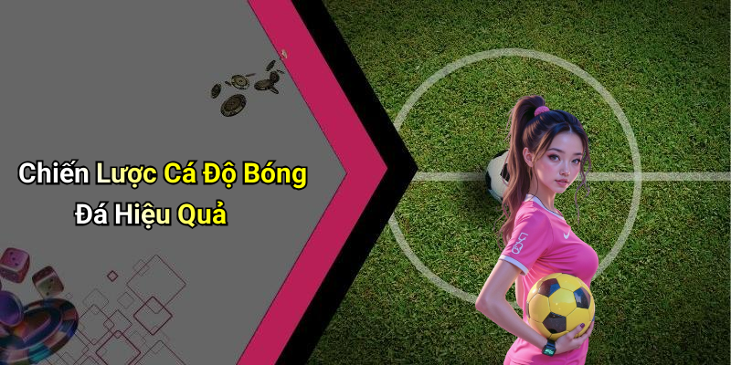 Chiến Lược Cá Độ Bóng Đá Hiệu Quả