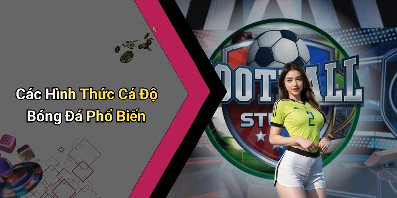Các Hình Thức Cá Độ Bóng Đá Phổ Biến