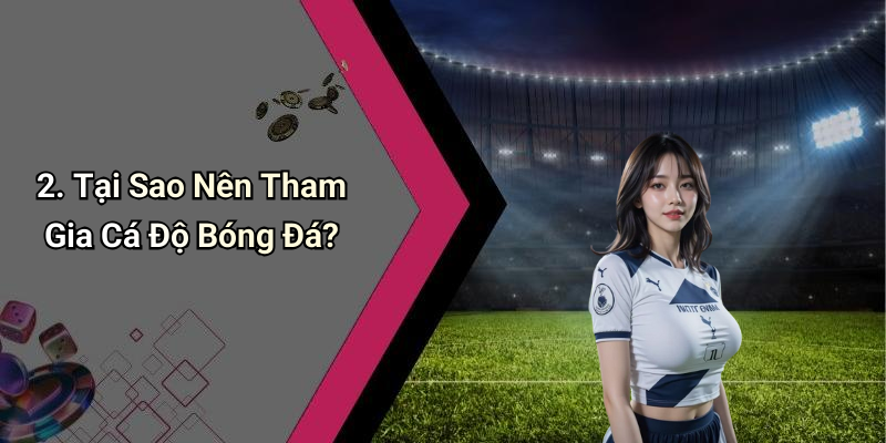 2. Tại Sao Nên Tham Gia Cá Độ Bóng Đá?