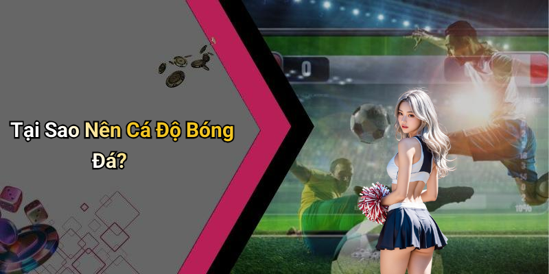 Tại Sao Nên Cá Độ Bóng Đá?