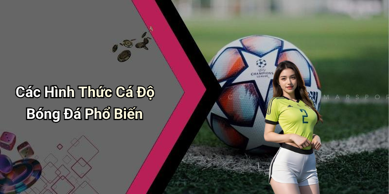 Các Hình Thức Cá Độ Bóng Đá Phổ Biến