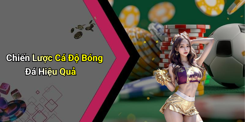Chiến Lược Cá Độ Bóng Đá Hiệu Quả