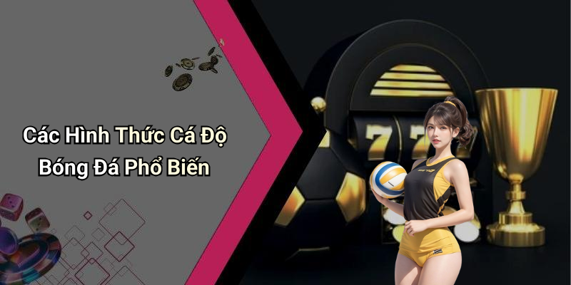 Các Hình Thức Cá Độ Bóng Đá Phổ Biến