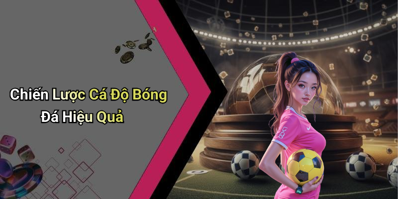 Chiến Lược Cá Độ Bóng Đá Hiệu Quả