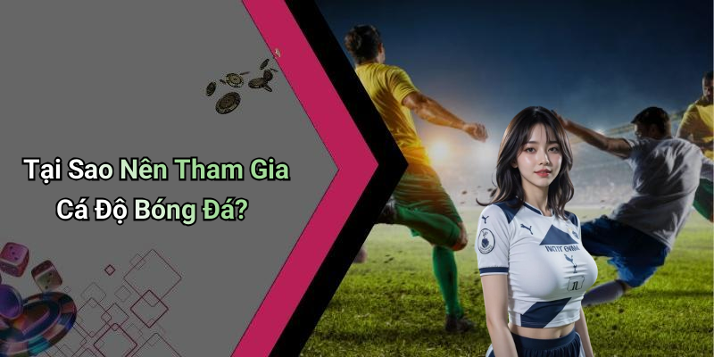 Tại Sao Nên Tham Gia Cá Độ Bóng Đá?