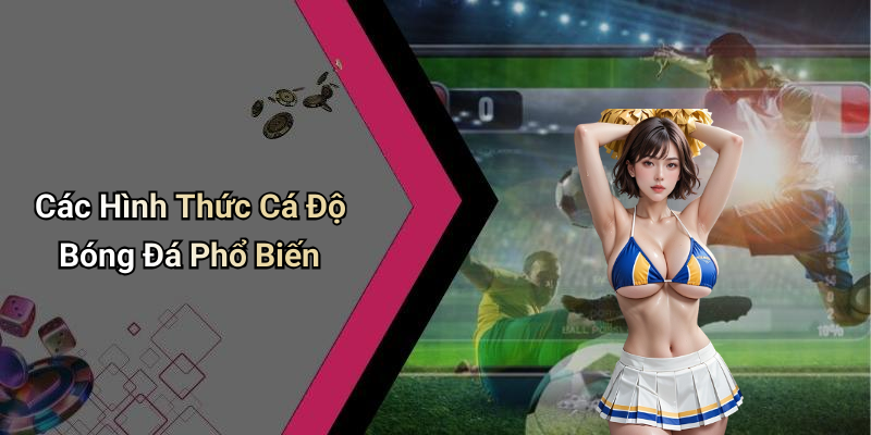 Các Hình Thức Cá Độ Bóng Đá Phổ Biến