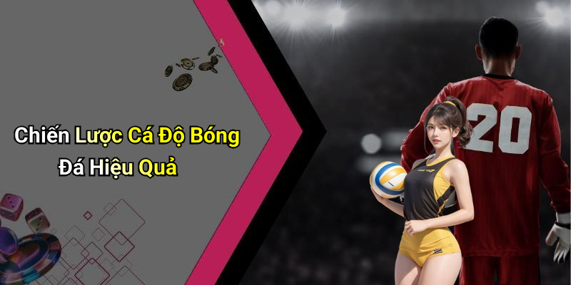 Chiến Lược Cá Độ Bóng Đá Hiệu Quả
