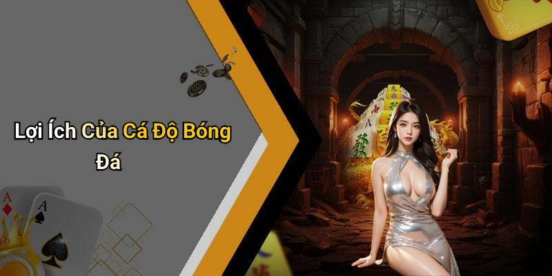 Lợi Ích Của Cá Độ Bóng Đá
