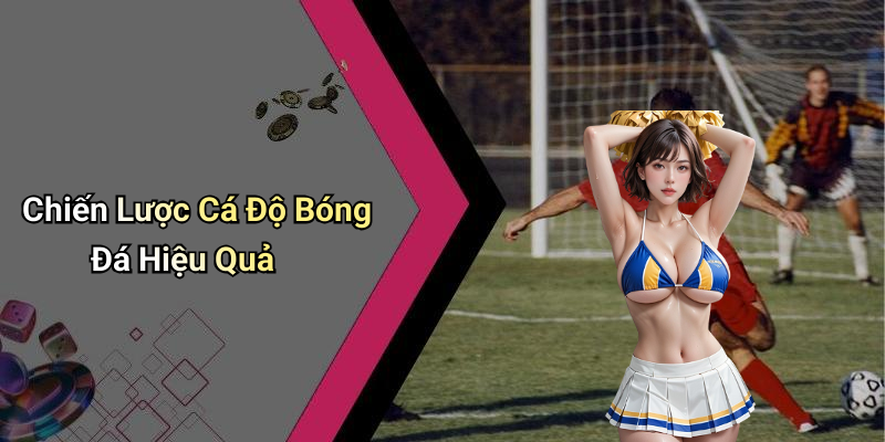 Chiến Lược Cá Độ Bóng Đá Hiệu Quả