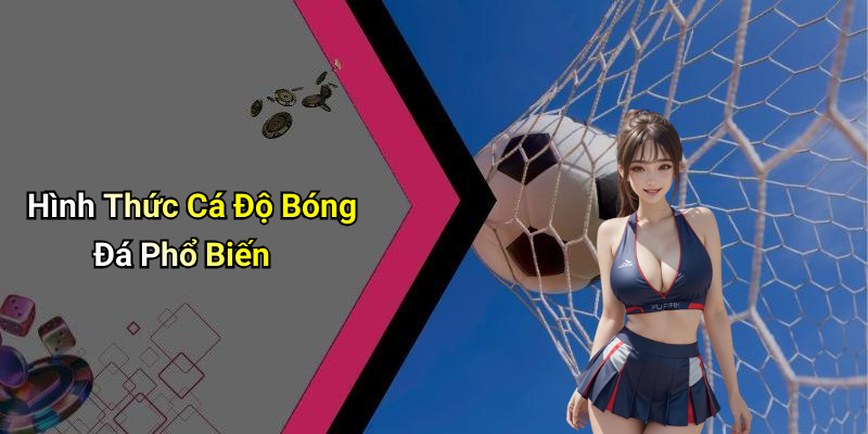 Hình Thức Cá Độ Bóng Đá Phổ Biến
