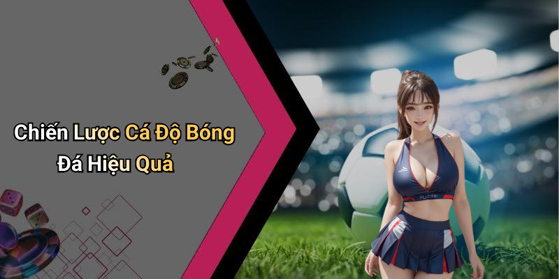 Chiến Lược Cá Độ Bóng Đá Hiệu Quả