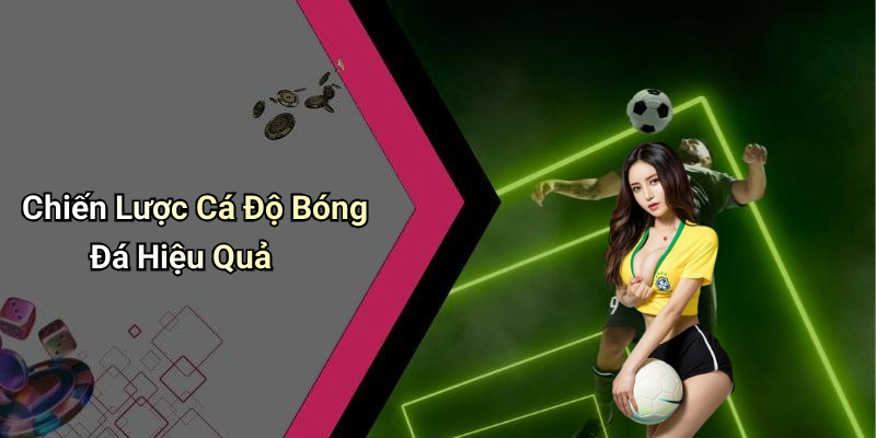 Chiến Lược Cá Độ Bóng Đá Hiệu Quả