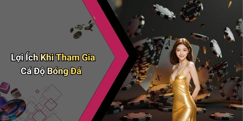 Lợi Ích Khi Tham Gia Cá Độ Bóng Đá
