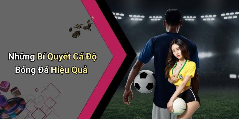 Những Bí Quyết Cá Độ Bóng Đá Hiệu Quả