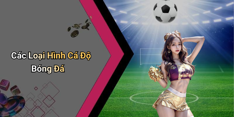 Các Loại Hình Cá Độ Bóng Đá
