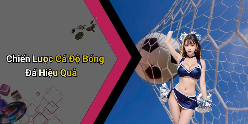 Chiến Lược Cá Độ Bóng Đá Hiệu Quả