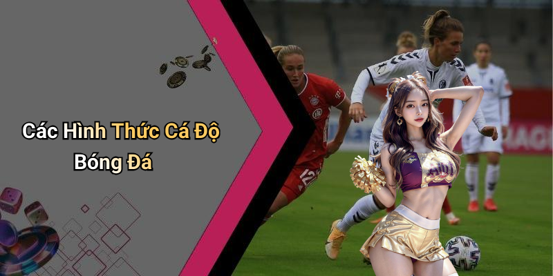 Các Hình Thức Cá Độ Bóng Đá