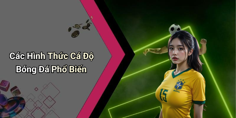 Các Hình Thức Cá Độ Bóng Đá Phổ Biến