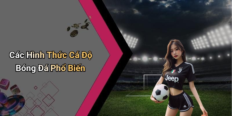 Các Hình Thức Cá Độ Bóng Đá Phổ Biến