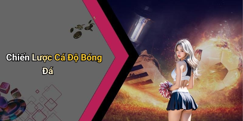 Chiến Lược Cá Độ Bóng Đá