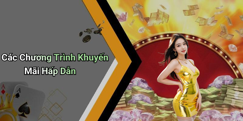 Các Chương Trình Khuyến Mãi Hấp Dẫn