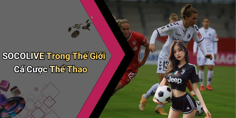 SOCOLIVE Trong Thế Giới Cá Cược Thể Thao