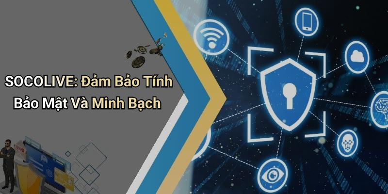SOCOLIVE: Đảm Bảo Tính Bảo Mật Và Minh Bạch