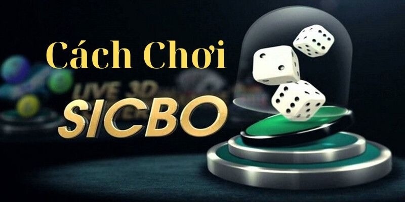 Cách Chơi Sicbo – Luật Dễ Hiểu Và Kinh Nghiệm Chơi Hiệu Quả