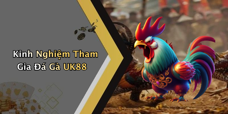 Kinh Nghiệm Tham Gia Đá Gà UK88