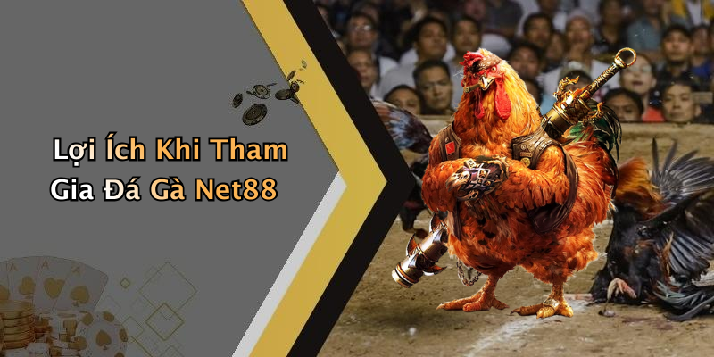 Lợi Ích Khi Tham Gia Đá Gà Net88