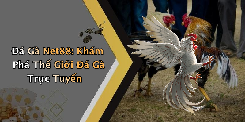 Đá Gà Net88: Khám Phá Thế Giới Đá Gà Trực Tuyến