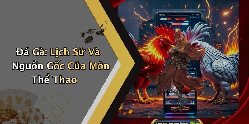 Đá Gà: Lịch Sử Và Nguồn Gốc Của Môn Thể Thao