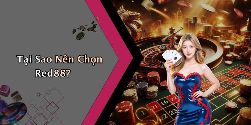 Tại Sao Nên Chọn Red88?