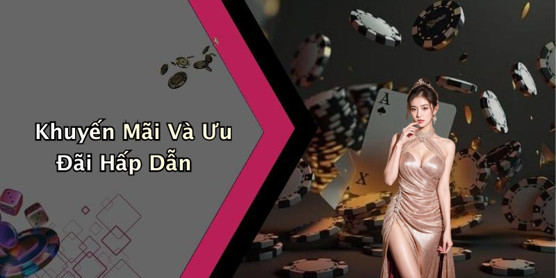 Khuyến Mãi Và Ưu Đãi Hấp Dẫn
