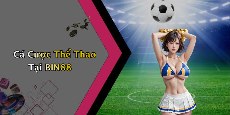 Cá Cược Thể Thao Tại BIN88