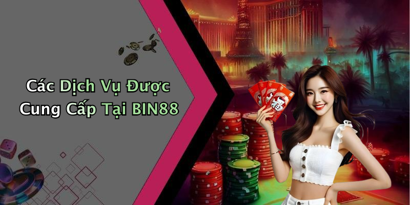 Các Dịch Vụ Được Cung Cấp Tại BIN88