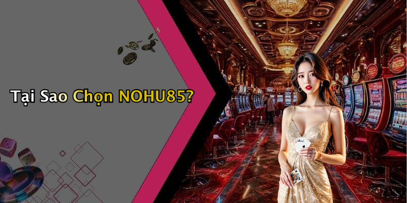 Tại Sao Chọn NOHU85?