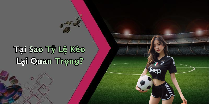 Tại Sao Tỷ Lệ Kèo Lại Quan Trọng?