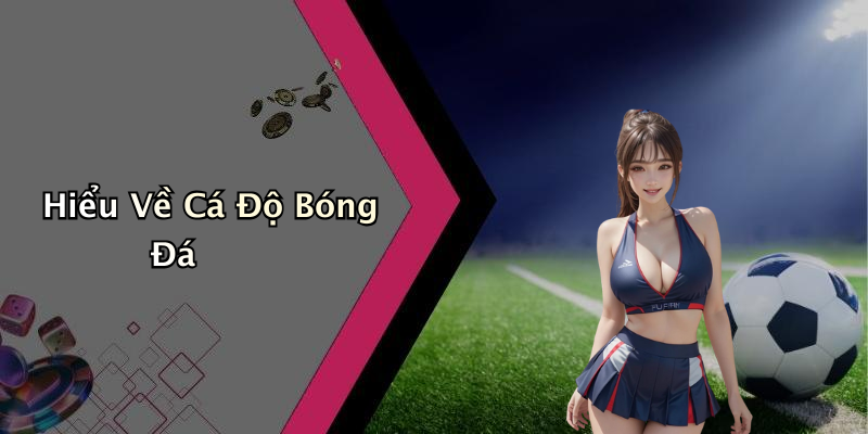 Hiểu Về Cá Độ Bóng Đá