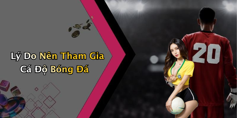 Lý Do Nên Tham Gia Cá Độ Bóng Đá