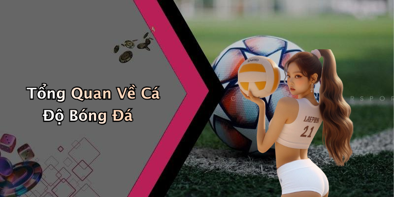 Tổng Quan Về Cá Độ Bóng Đá