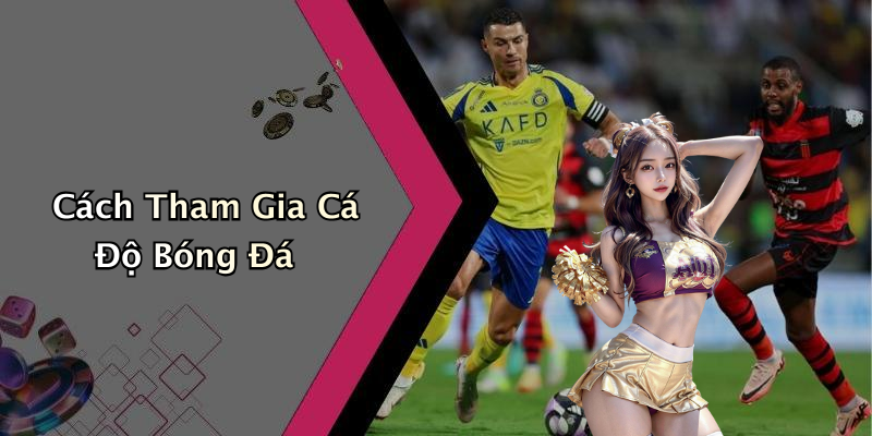 Cách Tham Gia Cá Độ Bóng Đá
