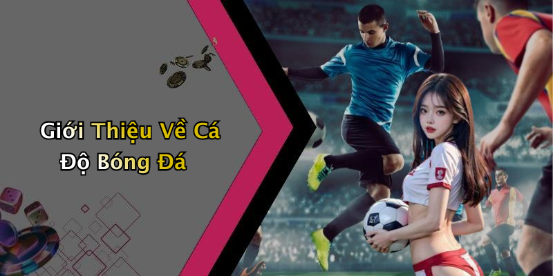 Giới Thiệu Về Cá Độ Bóng Đá